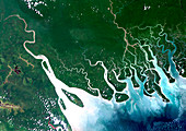 Gulf of Papua deltas,satellite image