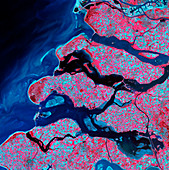 Rhine-Meuse delta,satellite image