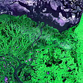 Yukon Delta,satellite image