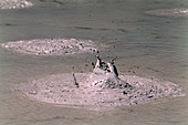 Geothermal mud pool