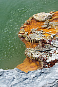 The Champagne Pool,New Zealand