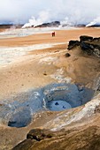 Geothermal mud pools,Iceland