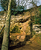 Kirkdale cave
