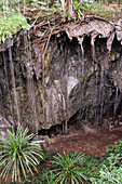 'Japanese Cave'