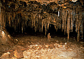 Stalactites growing in the Florida Caverns Mariana