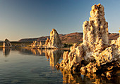 Tufa towers