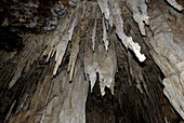 Limestone stalactites