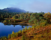 Glen Affric,Scotland,on a clear autumn day