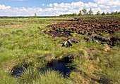Peat bog nature reserve