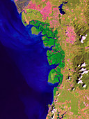 Matang Mangrove Forest,satellite image