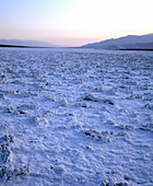 Salt flat: Devil's Golf Course,Death Valley