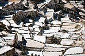Maras salt pans,Peru