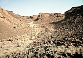 Desert gully at Tamanguillet,Mali