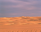 Barchan dunes,Niger