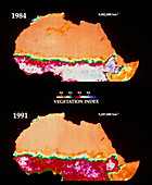 Extent of the Sahara Desert compared,1984 & 1991