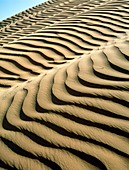 Rippled sand dunes