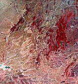 Desert landscape,India