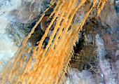 Erg Iguidi desert,satellite image