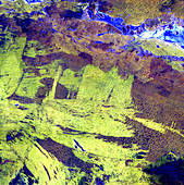 Wildfire scars,satellite image