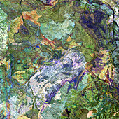 Great Sandy Desert,satellite image