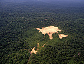 Exploratory oil well in the Amazonian rainforest