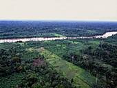 Deforestation in rainforest by Ecuadorian Amazon