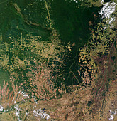 Deforestation in Brazil (2 of 2)