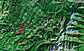 Deforestation,satellite image