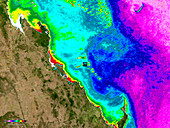 Coral bleaching,Great Barrier Reef