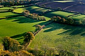 Shadows across fields,Devon,UK