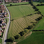 Ridge and furrow remains