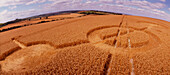 Crop formation,Cheesefoot,Hampshire