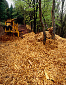 Shredded forestry lumber waste