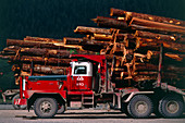 Logging truck loaded with logs