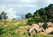 Slash and burn agriculture,Africa