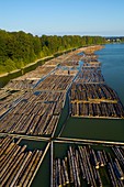 Log booms,Vancouver,Canada