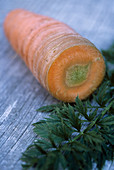 Carrot (Daucus carota 'Nantes')