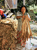 Woman drying tobacco leaves