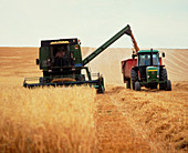 Combine harvester and tractor at work