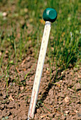Thermometer for measuring soil temperatures