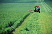 Tractor cutting grass for silage