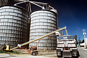 Grain silos