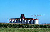 Storage silos and fields of maize