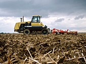 Tractor ploughing a rape field