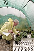 Polytunnels