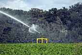 Agricultural irrigation