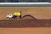 A tractor spreading pig manure on a field