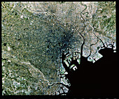 Landsat image of Tokyo