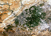 Damascus,Syria,satellite image