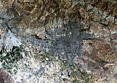 Tehran,satellite image